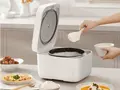 post_big2/ricetopf.webp