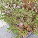 IMG_20180909_140832.jpg