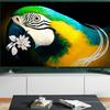 xiaomi-mi-tv-4a-4.jpg