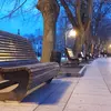Превью фотографии на основную камеру Redmi Note 15 с эффектом размытия