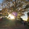 IMG_20171016_173110.jpg