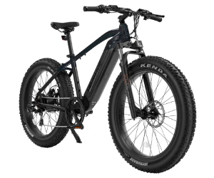 VELOWAVE Electric Bike