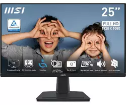 MSI PRO MP251