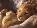 Вышел первый трейлер ремейка мультфильма «Король лев»