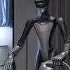 The humanoid robot HIVA Haiwa.