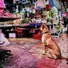 Honor-View-20-camera-samples-9.jpg