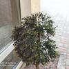 IMG_20180619_200501.jpg