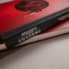 A screenshot from the game Assassin's Creed Shadows