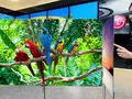 files/u2/2011/12/LG_OLEDTV_01.jpg