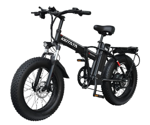 DEEPOWER G20 Folding Electric Bike