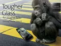 post_big/Corning_Gorilla_Glass_4.jpg