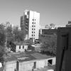 IMG_20170421_125832.jpg