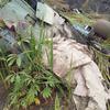 A Russian-made Mi-28NE Night Hunter helicopter crashed in Uganda, killing all crew members-11