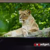Для тех, кто знает чего хочет: обзор QLED-телевизора Xiaomi TV S Pro Mini LED 2026-47