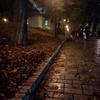 IMG_20181030_183524.jpg