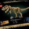 Skeleton of T-Rex by LEGO set