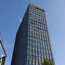 DSC_1446.JPG