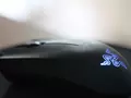 post_big/mouse-670002_1280.jpg