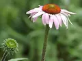 files/u1/2009/06/olympus_e-p1_movie_sample.jpg