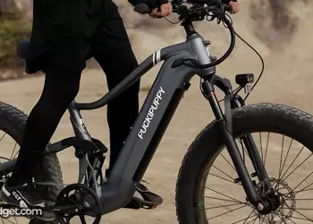 What is the Best PUCKIPUPPY Electric Bike?