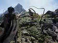 Новый трейлер Project Athia для PlayStation 5 и ПК раскрыл важные подробности об игре