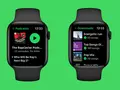 post_big/New-Spotify-experience-on-Apple-Watch.jpg