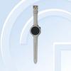 Часы OWW242 наблюдались на TENAA