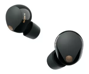 Sony WF-1000XM5 Truly Wireless Noise Canceling ...