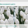 Огляд Sigma Mobile X-treme PQ39 MAX: сучасний захищений батарейкофон-34