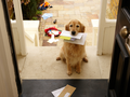 files/u1/mail_title.png