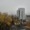 IMG_20181030_084538.jpg