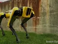 post_big/boston-dynamics-spotmini-robot.jpg
