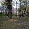 IMG_20181101_135245.jpg