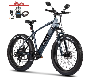 Wallke F2 Fat Tire Electric Bike