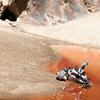turtle-rover-3.jpg