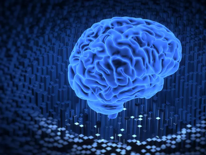 Cortical Labs создал человеческий «мини-мозг» DishBrain и обучил его игре в Pong