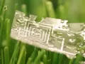 post_big/physically-transient-electronics-m.jpg