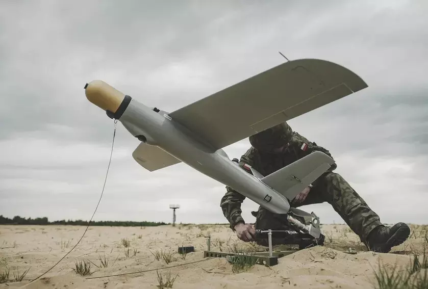 Южная Корея планирует приобрести беспилотники Warmate у Польши