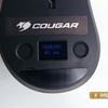 cougar-surpassion-24.jpg