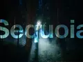 post_big/macOS-Sequoia-Night-Feature_lS5ZvkK.webp
