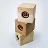 JVC Kenwood WDS-01 Wireless Speaker Design