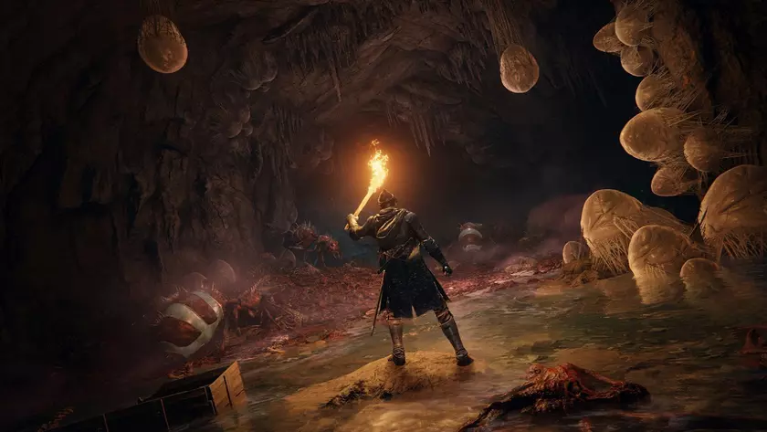 Системные требования Elden Ring появились в Steam, но их удалили