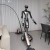 The humanoid robot HIVA Haiwa.