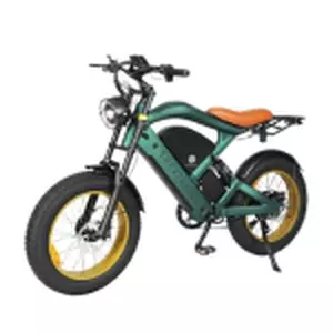 SMARTRAVEL ST202