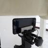 P20-Lite-4.jpg