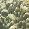 Underwater photo preview 4