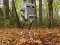 post_big/at-st-cassie.jpg