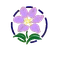 PLumBym