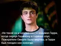 post_big/harry.jpg
