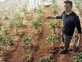 post_big/martian-ed.jpg
